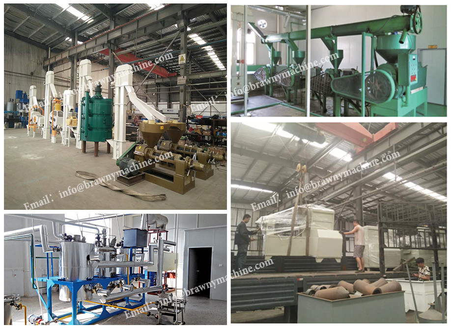 5ZT indica rice seed cleaning grading sorting coating line