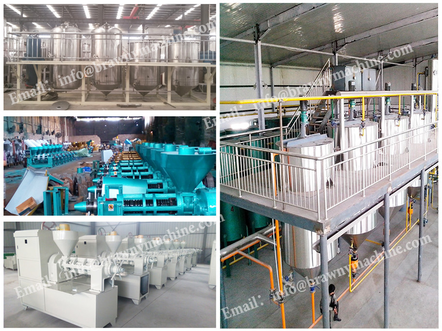 5ZT white peas cleaning grading separating packing line for sale