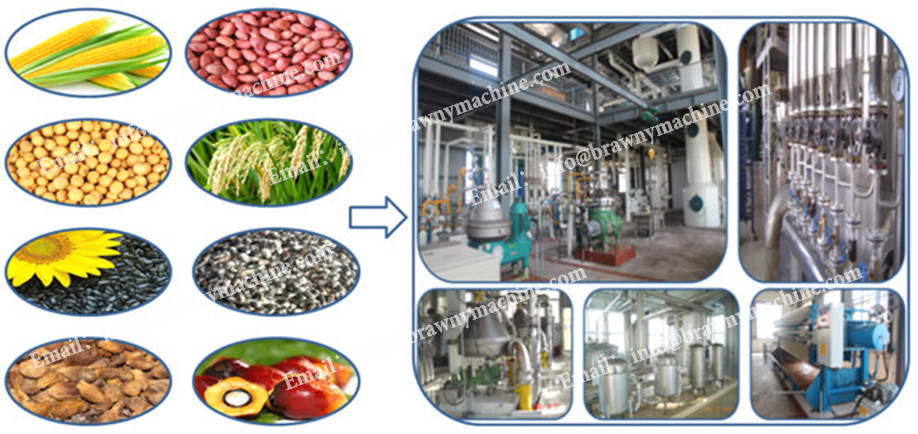 Screw soybean oil mill/peanut oil press machine market in India