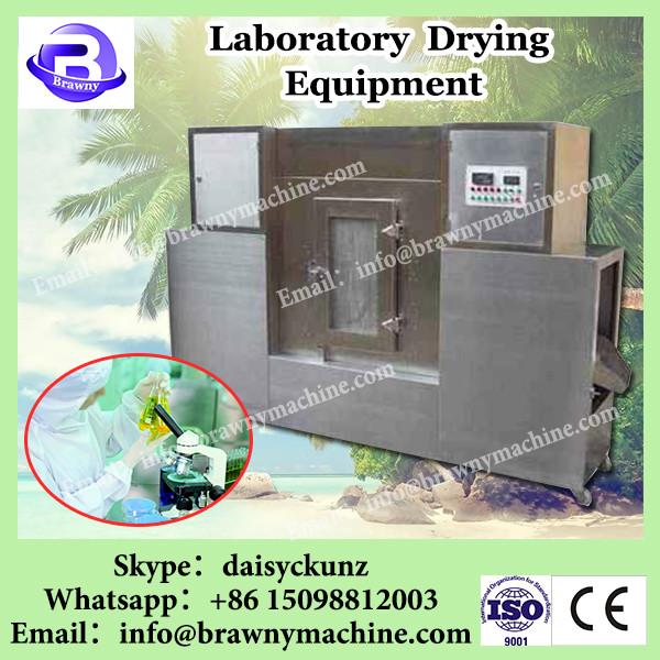 dehydrating onion/garlic/herb/fish/grape drying type mesh belt dryer machine #1 image