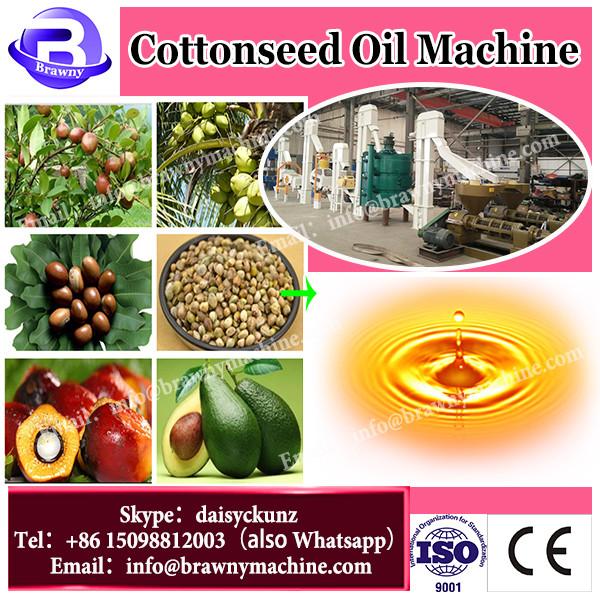 Full automatic sesame oil press /cocoa bean oil press machine /corn oil press machine #1 image