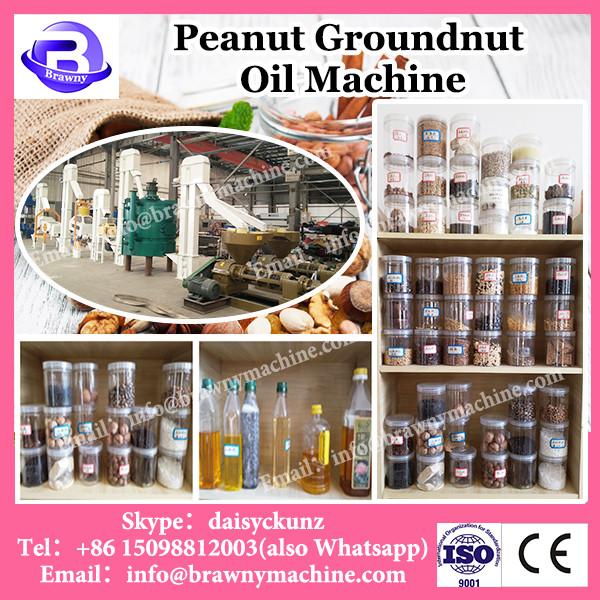 20T/D semi-continuous groundnut oil refining machine | groundnut oil refinery equipment machinery #2 image