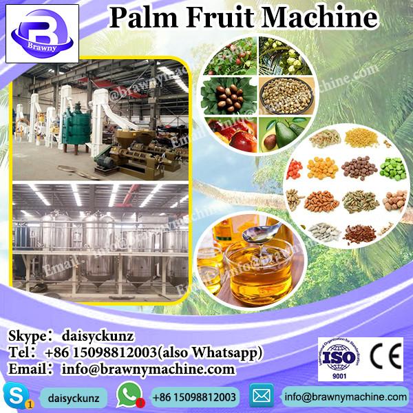 500KG/H Small Palm Oil Processing Plant #1 image