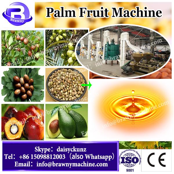 Hot sale 500KG/H oil expeller palm oil press machine screw oil press #1 image