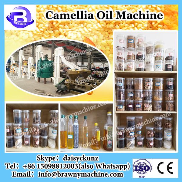 garlic oil extraction hydraulic oil press machine manual oil press machine small scale oil extraction machine #3 image