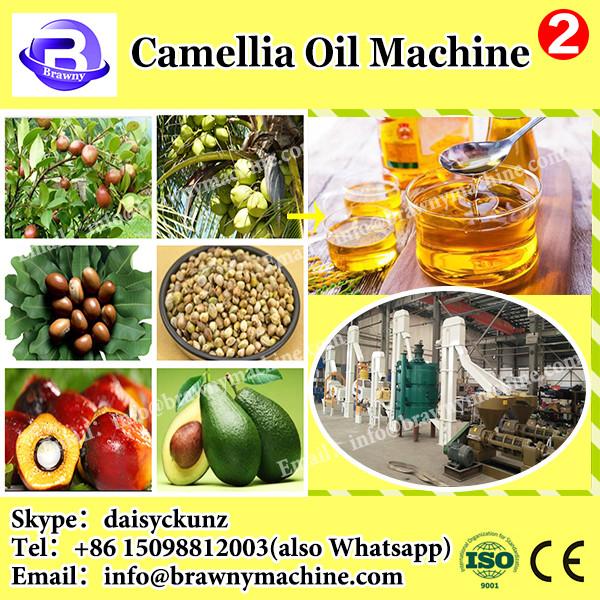 garlic oil extraction hydraulic oil press machine manual oil press machine small scale oil extraction machine #2 image