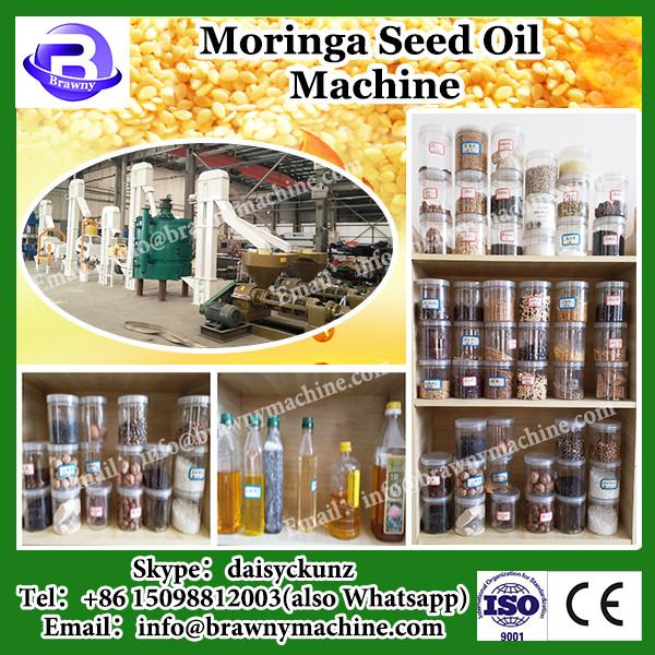 Production 20kg/h small cold pressed coconut oil machine oil extractor #3 image