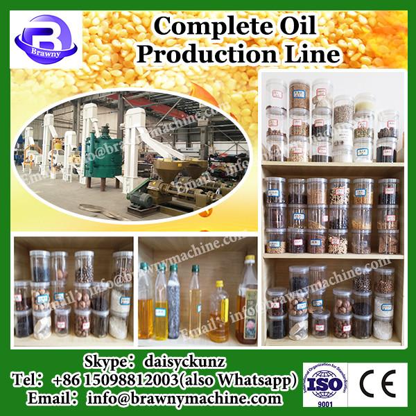 Top Supplier Emulsify Homogenizer Mixer Wall Paint Making Plant #3 image