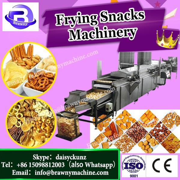 High Quality Stainless Steel Automatic Frying Snack Machinery #1 image