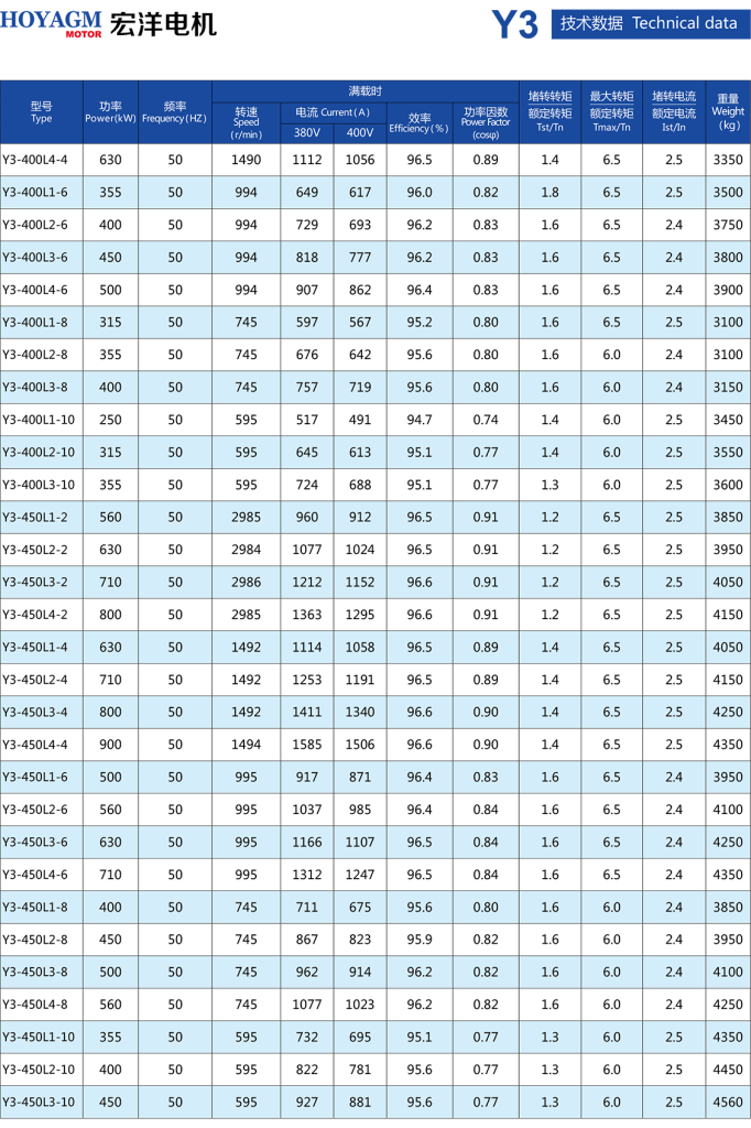 Y3 Series Low Voltage High Power Motors-2